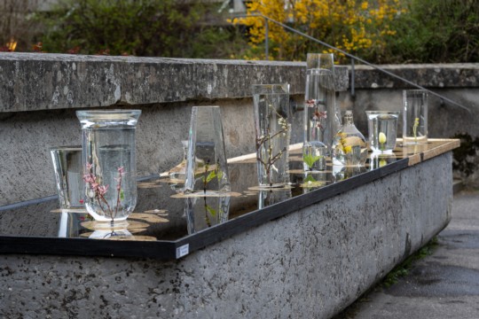 2023-04-06_Osterbrunnen_Nr._04d