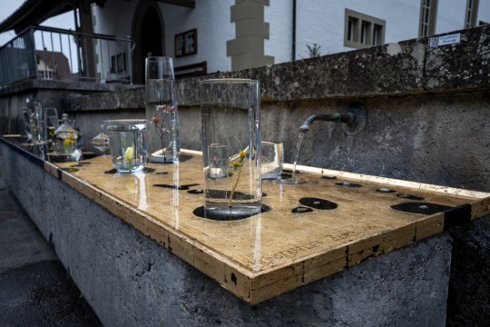 2023-04-06_Osterbrunnen_Nr._04e