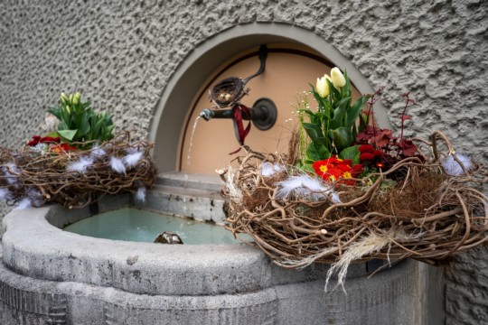 2023-04-06_Osterbrunnen_Nr._07c