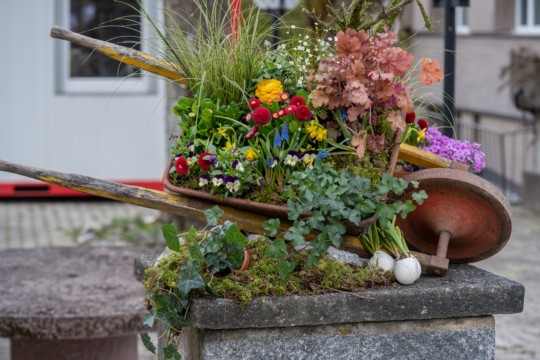 2023-04-06_Osterbrunnen_Nr._09d