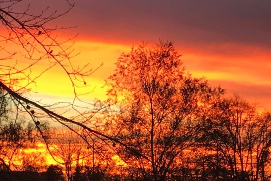 155451795_716180829029125_2396934613663338984_n