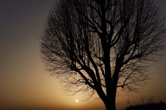 Screenshot_20210301-092026