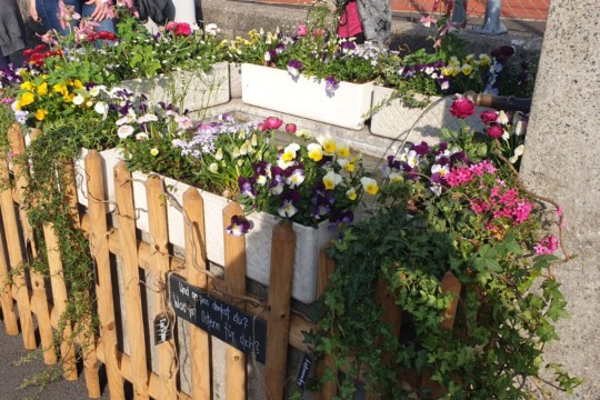 PHOTO-2019-04-19-10-50-44