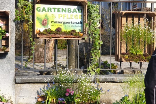 PHOTO-2019-04-19-10-50-47