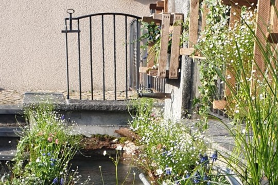 PHOTO-2019-04-19-10-51-25