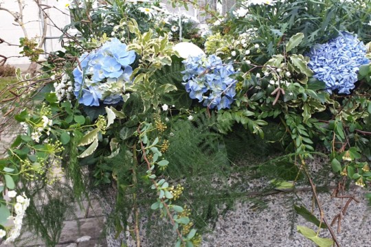 PHOTO-2019-04-19-10-51-28