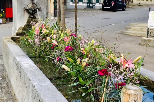 2f8b8508-e7cd-45c9-8217-df4450311423