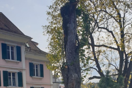 PHOTO-2019-04-19-10-50-35