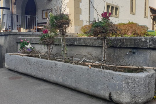 PHOTO-2019-04-19-10-50-37