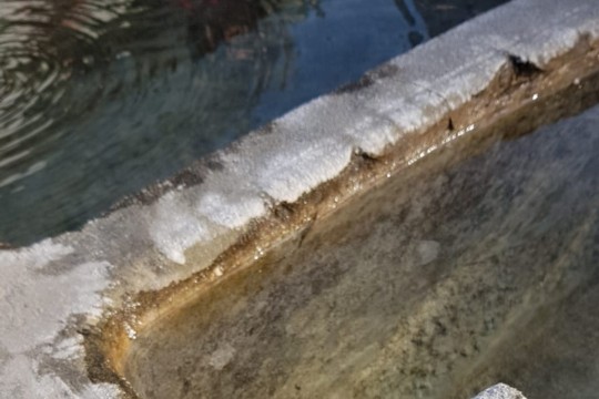 ef004218-6b1c-4c1f-9c5b-9913728324c2