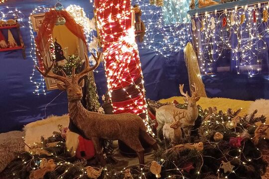 Diese Foto wurde beim Parking neben der RBS Station in Worb gemacht. Schönen Tag und Gruss, Ruth Bernhard, Lindenthal, 3067 Boll1