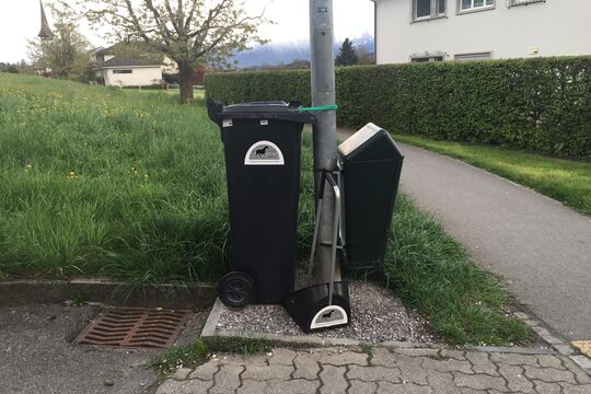 Bild Gemeinde stellt Bollenboys f&uuml;r Pferdemist auf