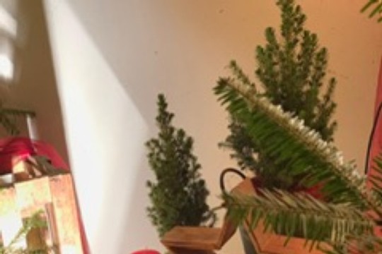 PHOTO-2019-12-01-21-52-30