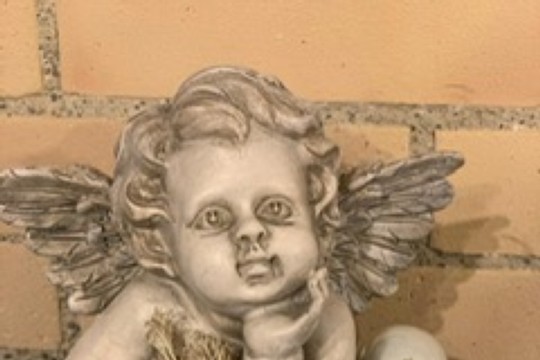 PHOTO-2019-12-01-21-52-33