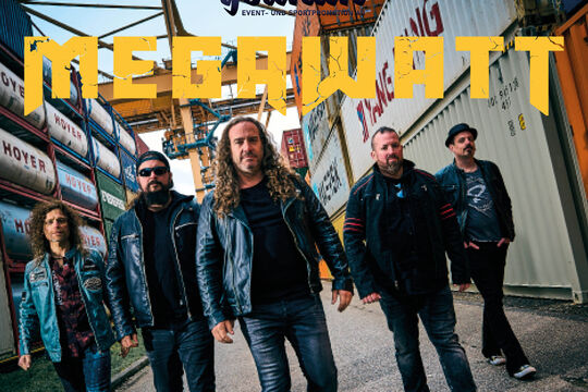 banner_youhuh ag_megawatt.jpeg