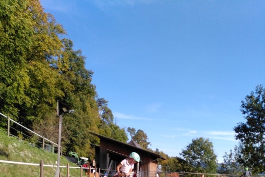 Ein Nami bei den Pferden 1