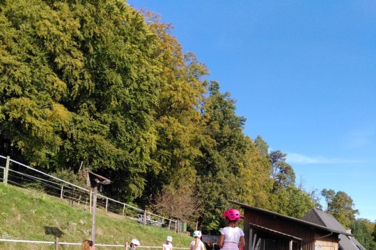 Ein Nami bei den Pferden 2