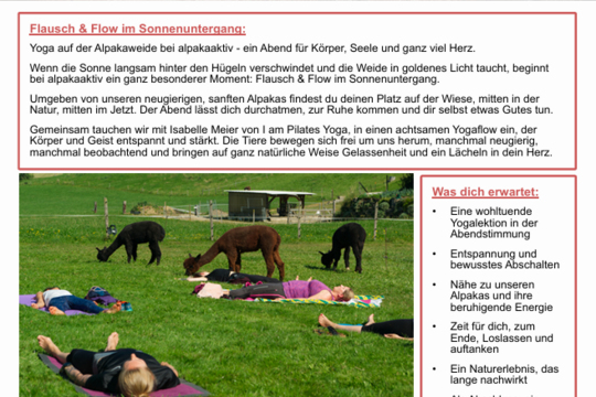 aa_aktivit&auml;t_ff_Yoga.png