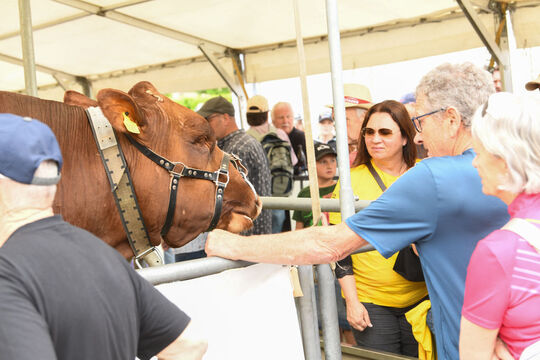 20260510_Schwingen_0961