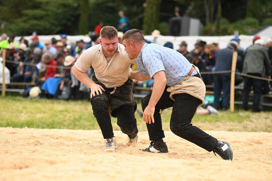 20260510_Schwingen_2086_1