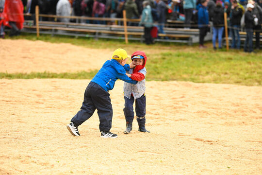 20260510_Schwingen_2113