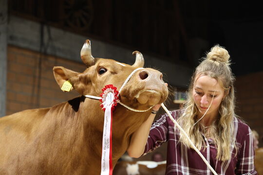 Bild Schaufinal Region Konolfingen auf dem Schwand M&uuml;nsingen