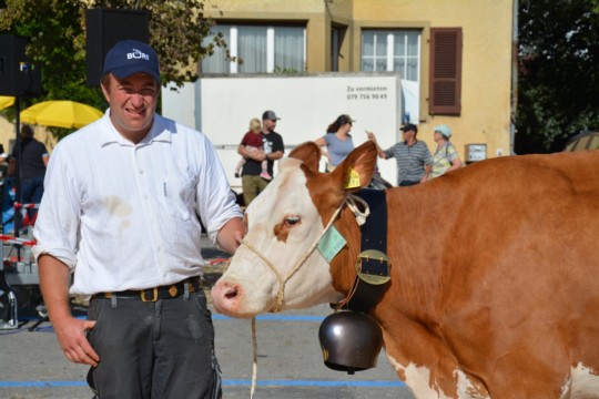 WhatsApp Bild 2023-10-06 um 18.39.43_bc6c7370