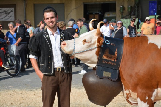 WhatsApp Bild 2023-10-06 um 18.40.34_59b71567