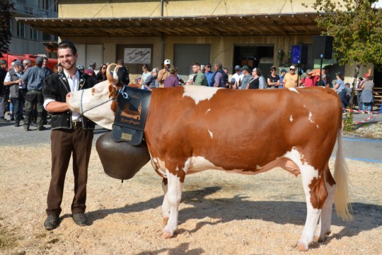 WhatsApp Bild 2023-10-06 um 18.40.53_c509ef0d