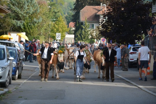 WhatsApp Bild 2023-10-06 um 18.44.19_3a05aa81