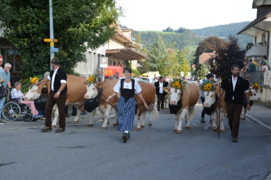 WhatsApp Bild 2023-10-06 um 18.45.08_4d4145a9