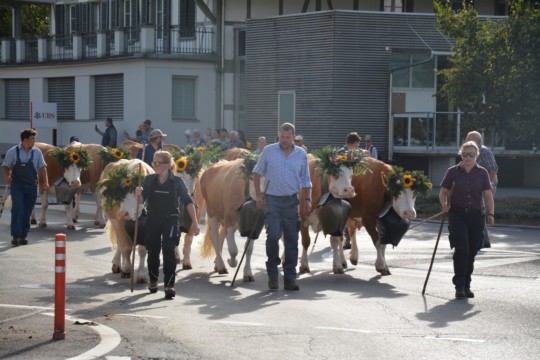 WhatsApp Bild 2023-10-06 um 18.47.15_37d725fb