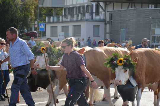 WhatsApp Bild 2023-10-06 um 18.48.02_7fdc5218