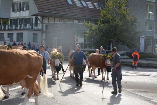 WhatsApp Bild 2023-10-06 um 18.48.20_8357a98b