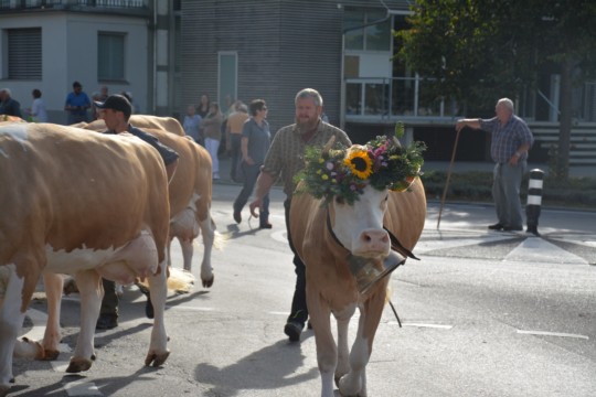 WhatsApp Bild 2023-10-06 um 18.49.37_f672046d