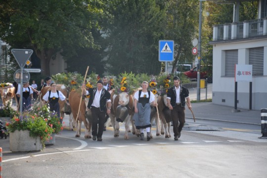 WhatsApp Bild 2023-10-06 um 18.51.12_b9ac2092