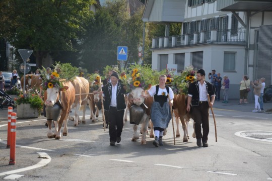 WhatsApp Bild 2023-10-06 um 18.52.48_9e7ef1af