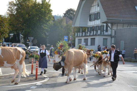 WhatsApp Bild 2023-10-06 um 18.53.59_193e08a0