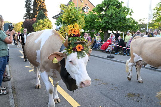 Bild Emmentalisches 2026 in Oberdiessbach: Marschmusik-Parade und Alpaufzug